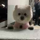 참약사천사약국 이미지