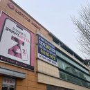 대지약국 | [대형 약국] 강북구 신규 오픈 대지 365 약국 방문 후기