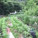 은지가든 이미지