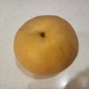 함박농장 이미지