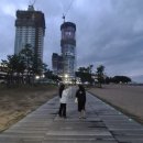 은하닭집 | 양양 낙산 해수욕장 저렴한 맛집 전진항 백씨네 횟집 오징어회 자연산회