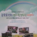 서울 금옥초등학교/금옥동산의 생태·환경탐구 이야기 이미지