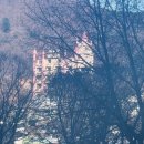 돌고개 휴 펜션 이미지