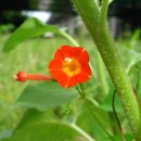 불광천변 이미지