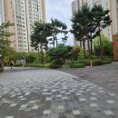 신수로683번길 이미지