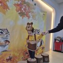 조물조물 이미지