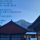 우리의 죄와 허물보다는 미래와 가능성에 더 초점을 맞추시는 예수님! 이미지