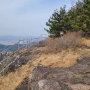 카페 첨산 Daum카페