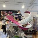 훈훈하개 이미지