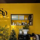 옐로우연화 | 김포여드름관리 구래역피부관리 솔에스테틱