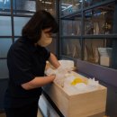 현대 강아지＆고양이 이미지