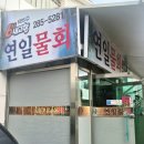 연일 | [포항 연일 맛집] 현지인 물회 맛집 ‘연일물회’ 후기