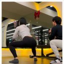 씨너지핏 이미지