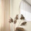 오브제-옥수수 이미지