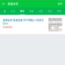 꽃귤농장