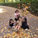 킨더베베어린이집 이미지