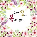 일러스트 캘리그라피 이미지