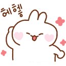 비에이엠(BAM) 이미지