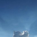 바다가 좋아 이미지