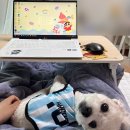 3학년 끝나고 간호학과 휴학하기 3 (5월~8월)