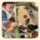 (24여름학기) 영아음악놀이(10~20개월) | 용인 아이랑 가볼만한 곳｜동천자연식물원, 동물체험·썰매 등 놀거리 많은 곳 (16개월 이하 무료)