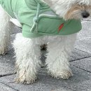 멜로우 그루밍 이미지