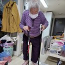 터틀랩 | 초경량 지팡이 추천! 터틀랩 4발 어르신 높이조절 지팡이 후기