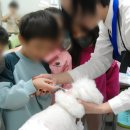 세담초등학교 이미지