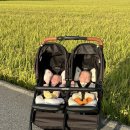 길세탁크리닝 | 군산 유모차 세탁 베베크리닝 쌍둥이유모차 세탁후기