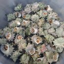 몽돌바다쉼터 이미지