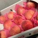 오혜명시온백년치과의원 이미지