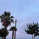 제주도 게스트하우스 파티 빅썸 이미지