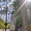 스윗먼스(SWEET MONTH) | Last London🇬🇧_4(Last trip🥲)