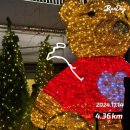 [일상비일상] 2024년 11월 몰아보기 &#39;그냥 버티고 버틴 11월&#39;