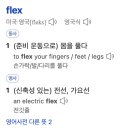 플렉스(FLEX) 이미지