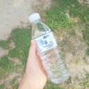 스타빅푸드 | 미네랄워터 물은엔유 생수대량구매 해봤어요