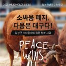[ 소싸움 대회 강행 지자체 규탄 공동 성명 ] 이미지