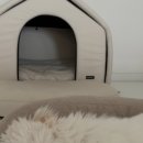 스니프 아틀라스 이미지