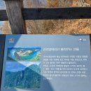 선돌이네 | [영월] 자연이 만든 조형물, 선돌 솔직 후기