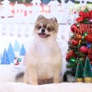 아콩하우스 이미지