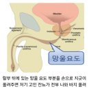 소변 후 잔뇨 제거 팁~~!! 늙탁서 필독!! 이미지