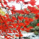 파라다이스펜션 이미지