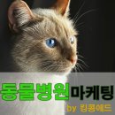 킹콩애드 네이버블로그