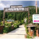 메밀꽃필무렵(전) 이미지