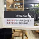 커피랑 | 대구 동성로 데이트 코스 고양이카페 양이랑커피랑 다녀온 후기