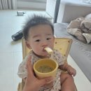 초기 중기 후기 마이아마이쿠커 이유식레시피[마이쿠커 활용] 한눈에 보는 초기·중기·후기 이유식...