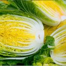 성진통운노동조합 | 해남 절임배추 20kg, 스테비아 절임배추 추천 후기 종합