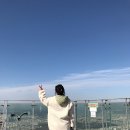 앞산케이블카 이미지