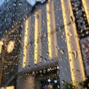 호텔리아체 | 수원 인계동 파티룸 호텔 리아체