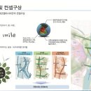뉴시티개발